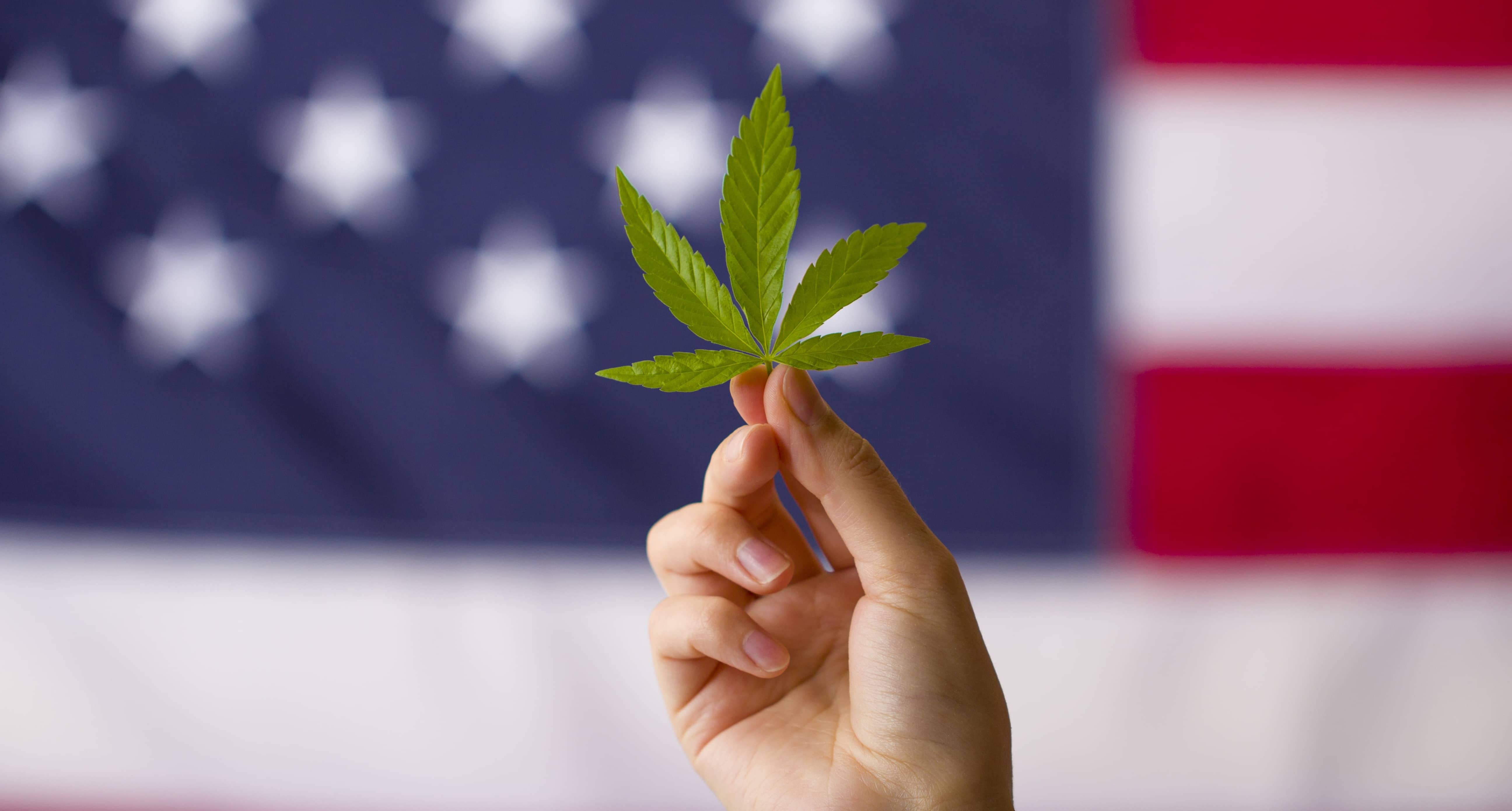 cannabis-legalization-in-the-united-states-of-america-cannabis-leaf-in-hands-on-usa-flag-background