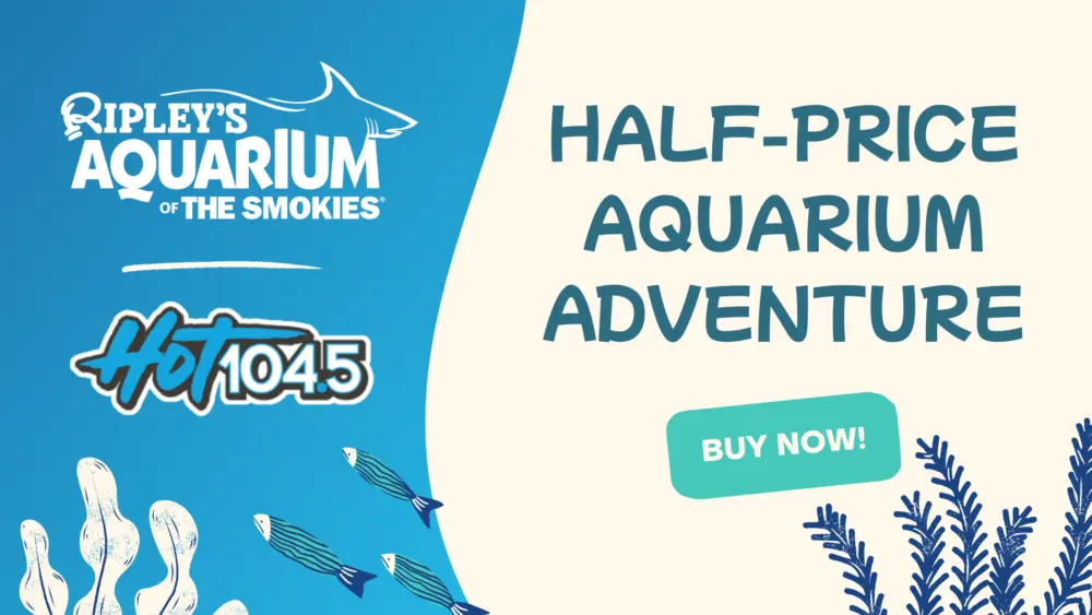 wkht-ripleys_1920x1080