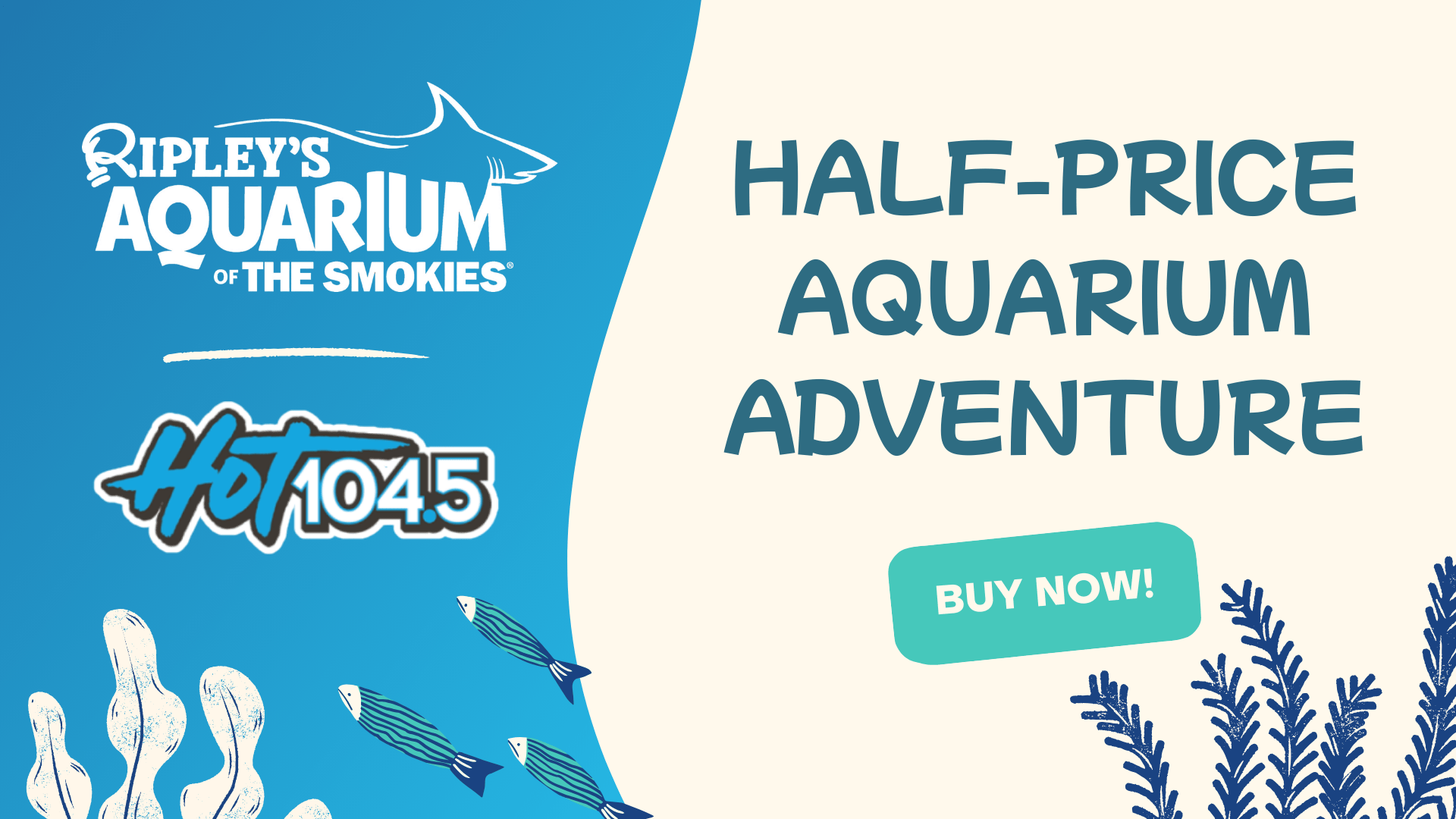 wkht-ripleys_1920x1080