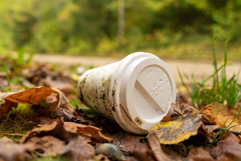 old-disposable-coffee-cup-in-the-forest