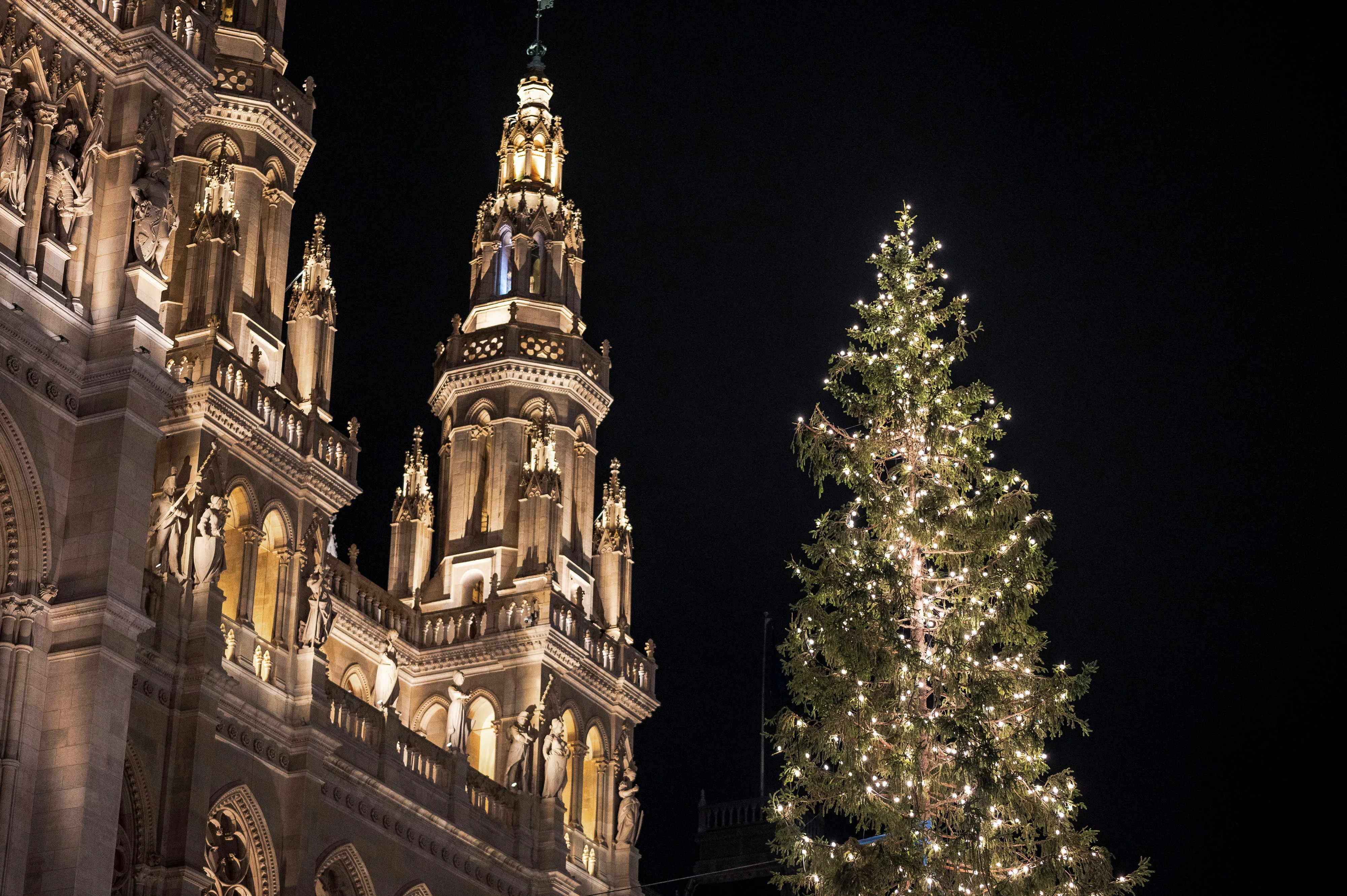 viennese-christmas-market-opens