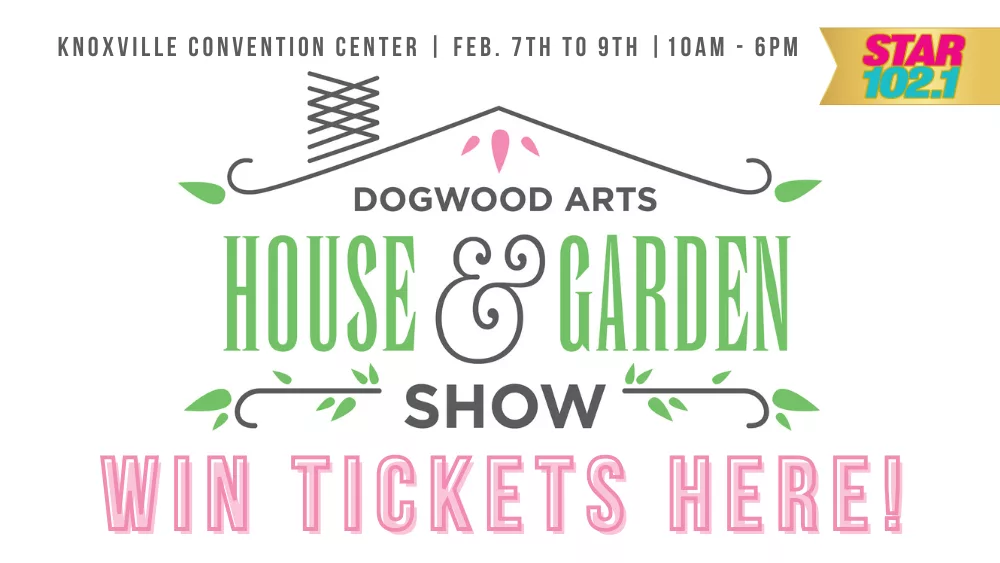 star-web-dogwood-arts-house-garden-show-contest