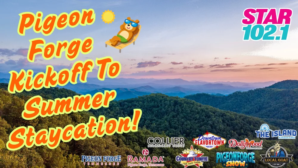 summer-staycation-3