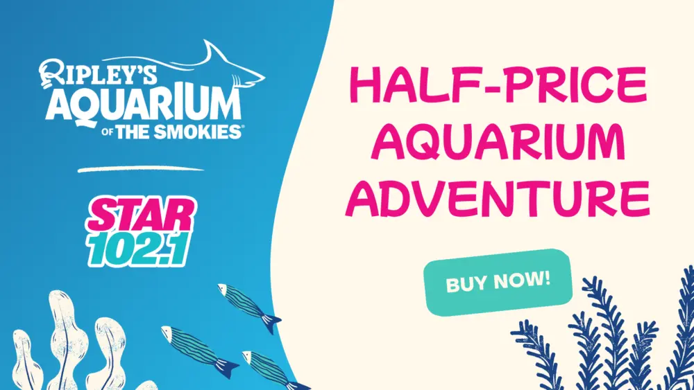 wwst-ripleys_1920x1080