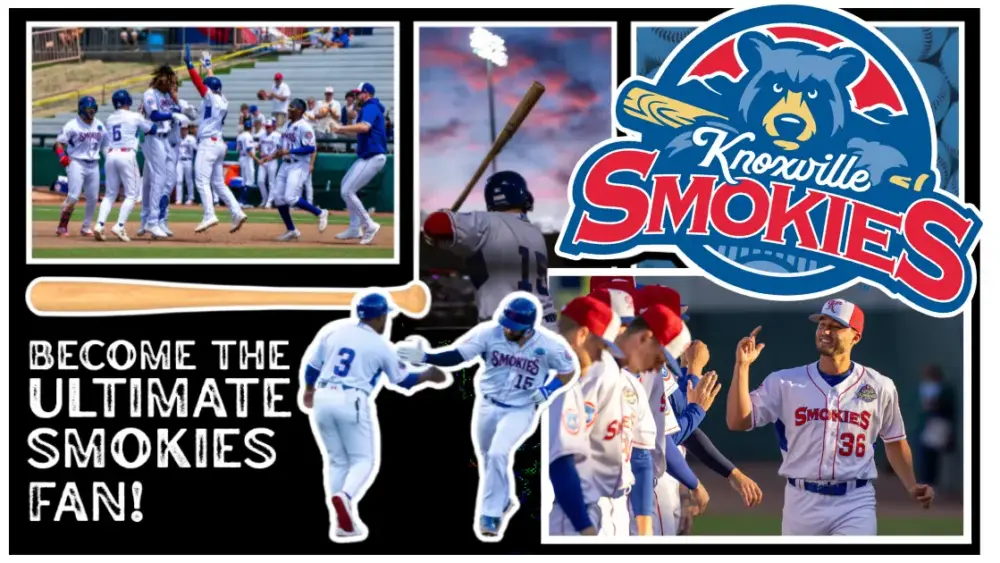 untitled-design-31-png-3