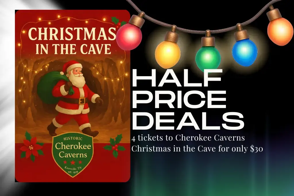 christmascavehalf-pdf-png