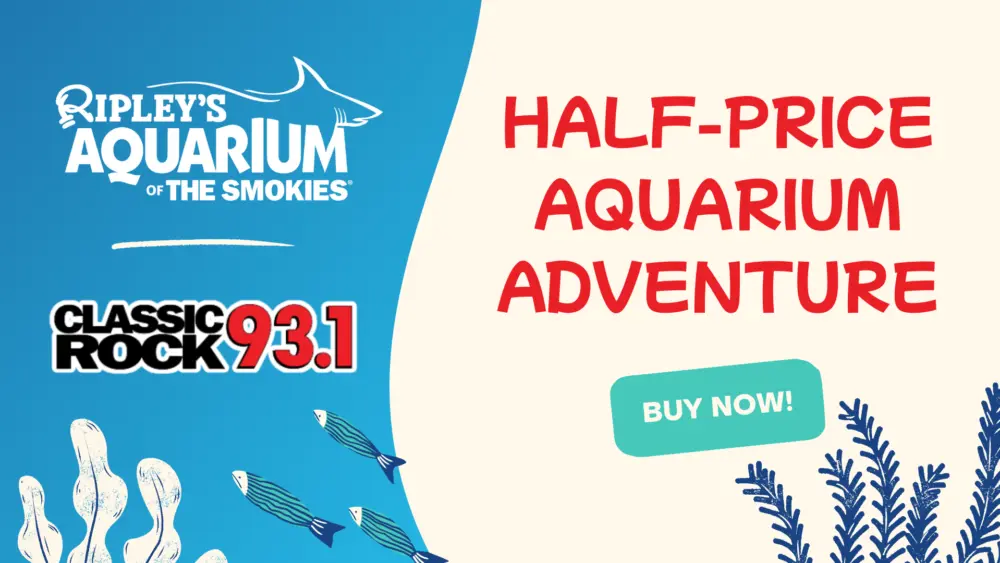 wnox-ripleys_1920x1080