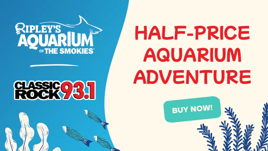 wnox-ripleys_1920x1080