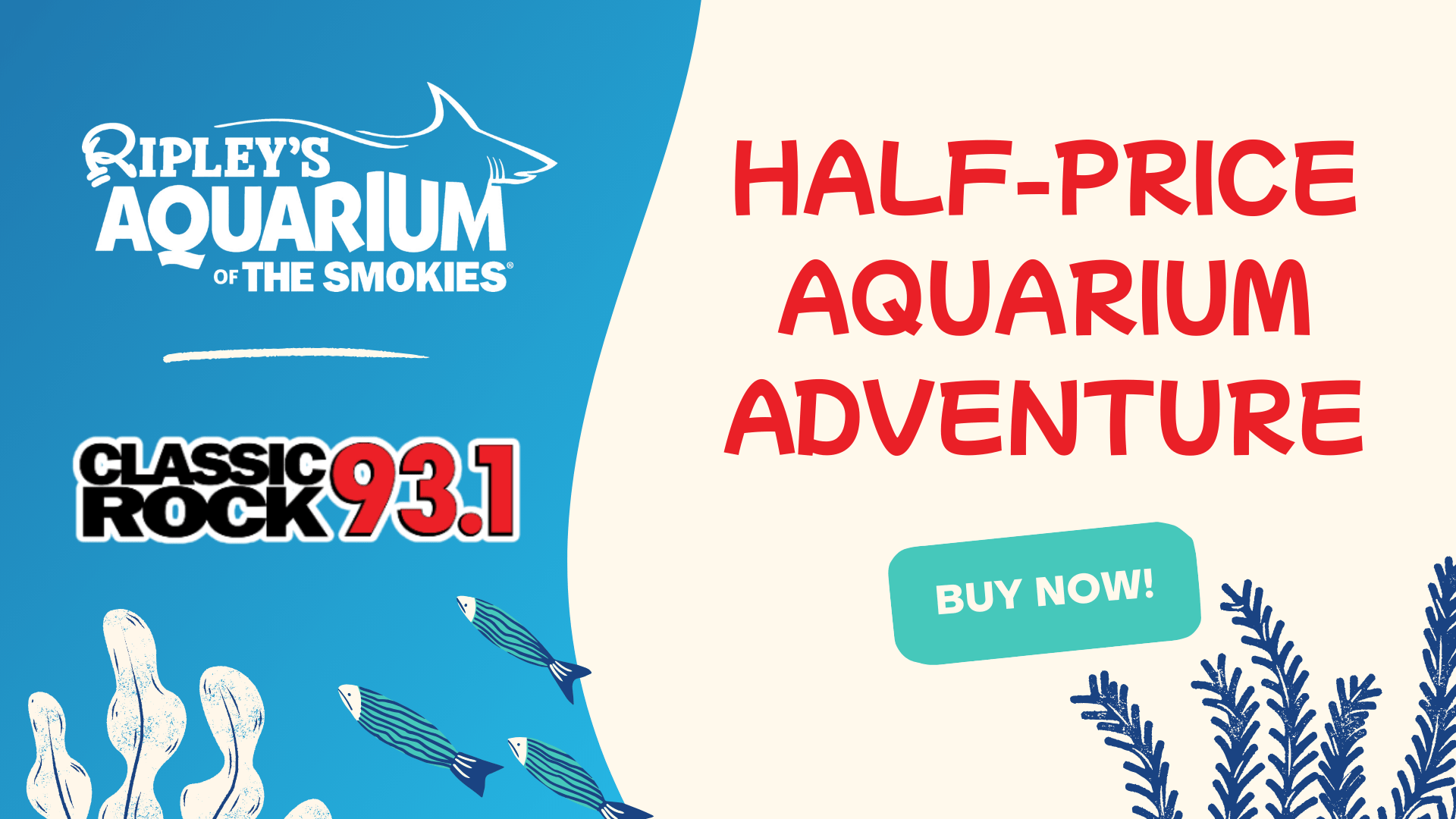 wnox-ripleys_1920x1080