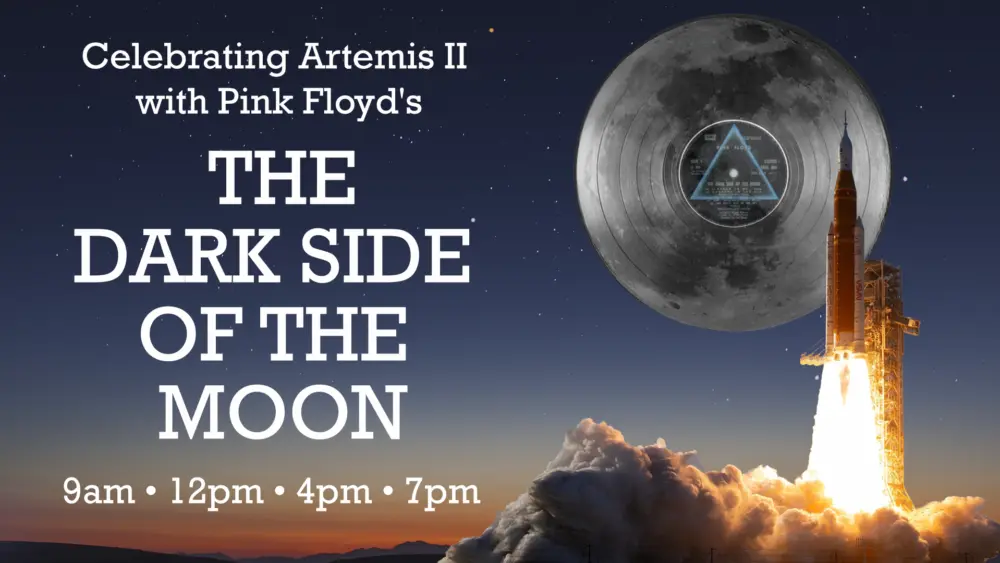 artemis_darkside_flipper