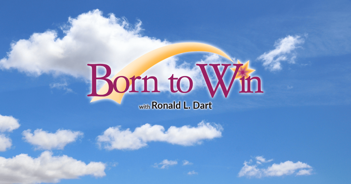born-to-win-1