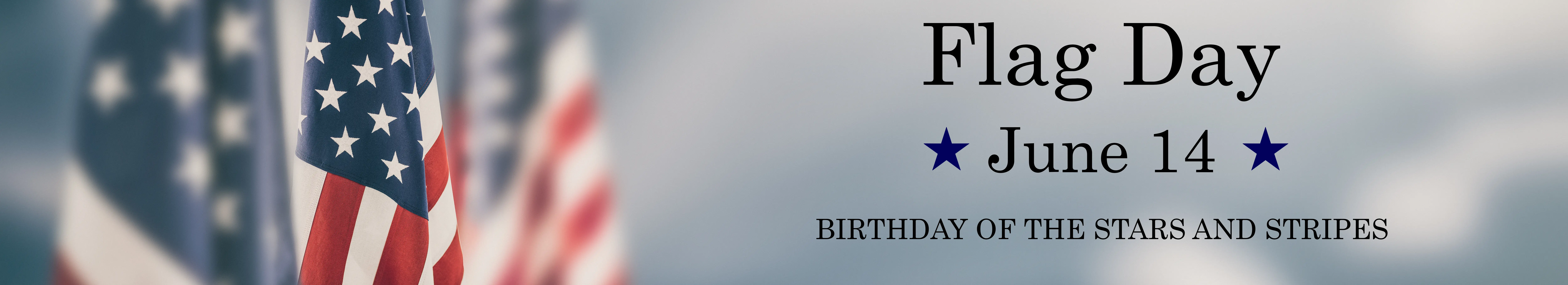 flag-day-homepage-banner