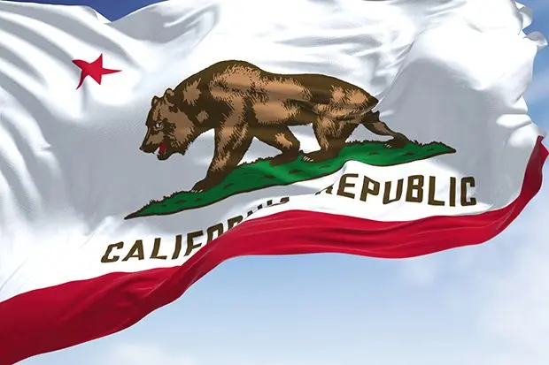 close-up-view-of-the-california-flag-waving