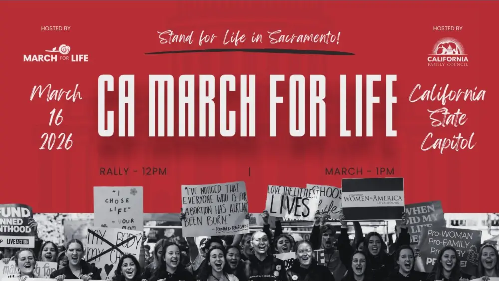 m4l-thumbnail-1280-x-720-px-pdf-1