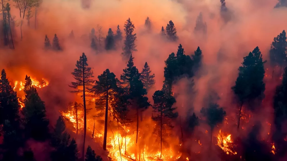 Forest fire^ many acres of pine trees burn down during the dry season. Wildfire burns in the forest. The concept of global cataclysms on earth. 3d rendering