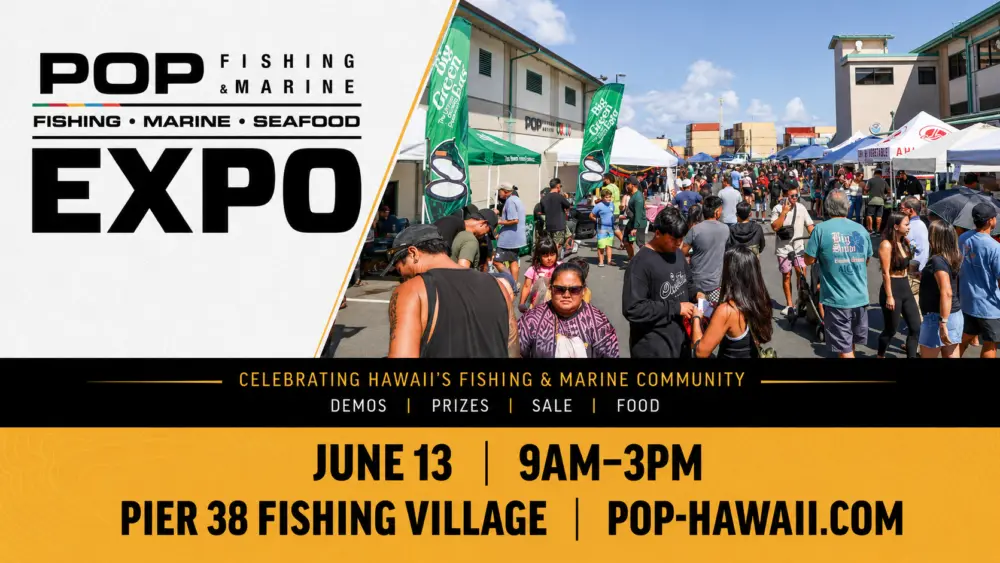pop-marine-fest