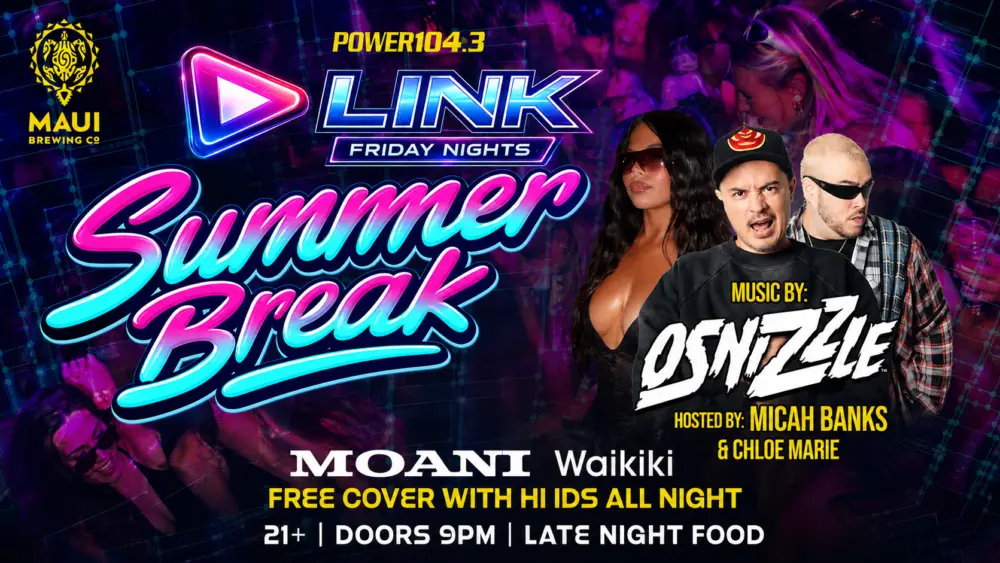 link-summer-flyer