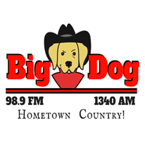 Big Dog