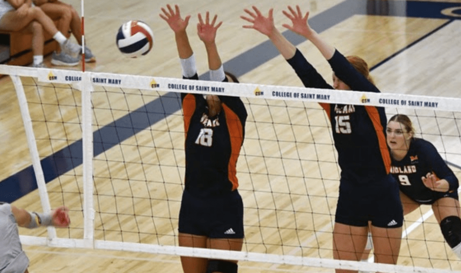 screen-shot-2024-09-23-at-9-01-12-am