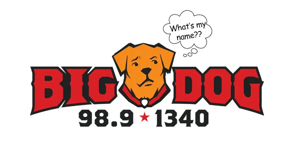 name-the-big-dog