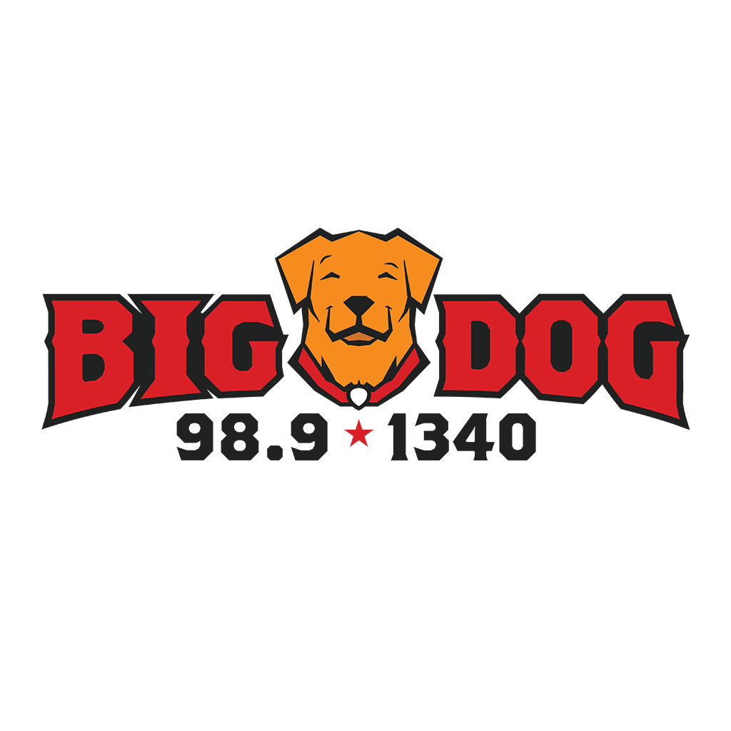 Big Dog