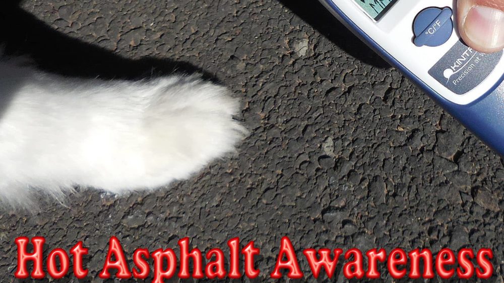 asphalt-awareness-hsco-org_