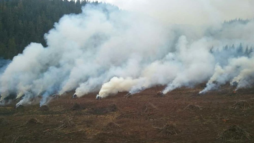 pile_burn3_2012-10-30_odf_cropped904606