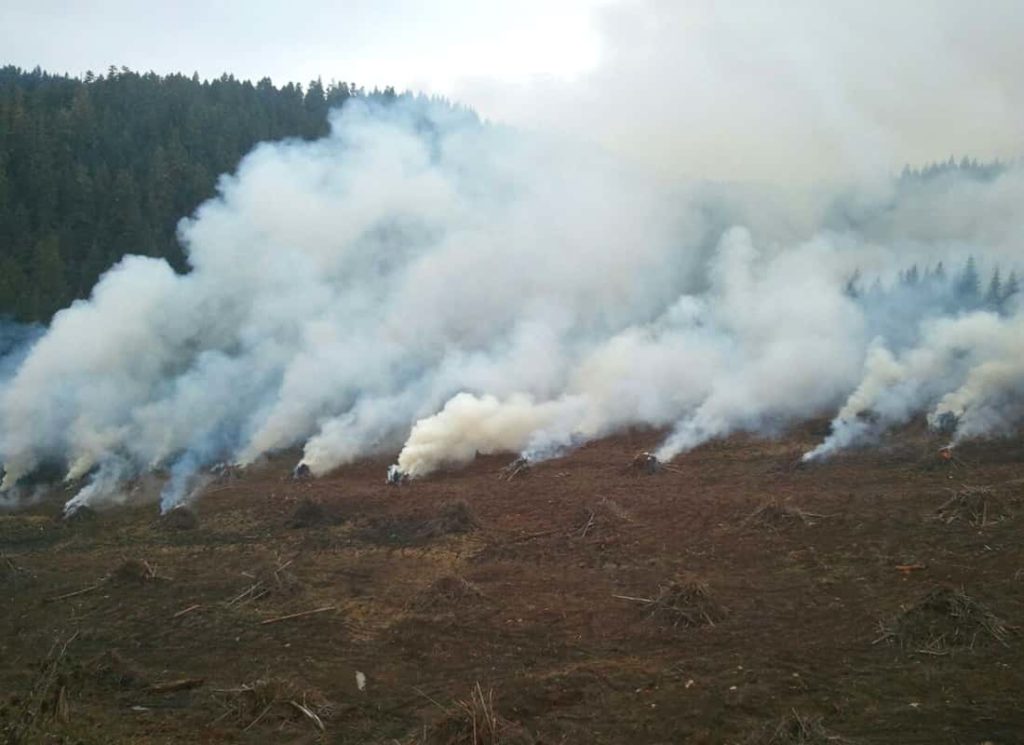 pile_burn3_2012-10-30_odf_cropped904606