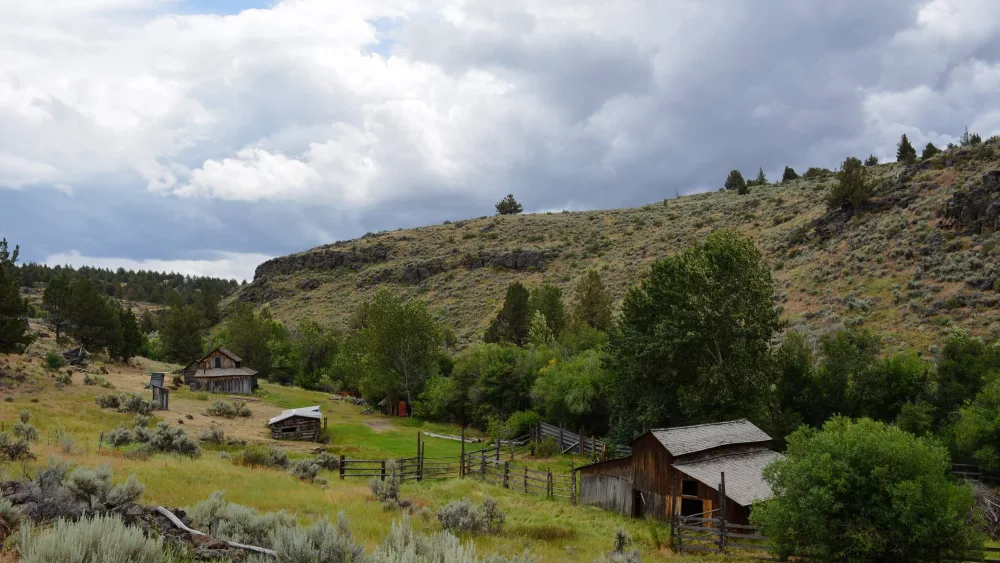 riddlerelease_july10_1_blm964720