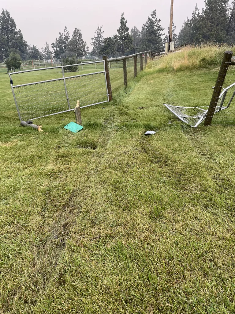 alpalca_fence-rotated666367