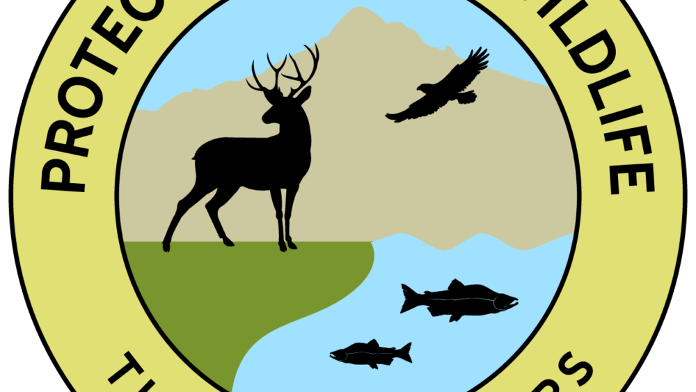 turn_in_poachers783772