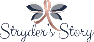 strydersstory_logo_300492790