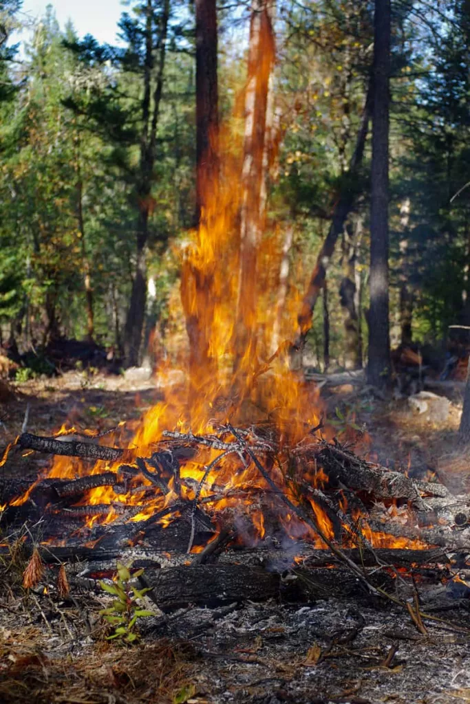 burning_pile_mkauffman_cropped993163