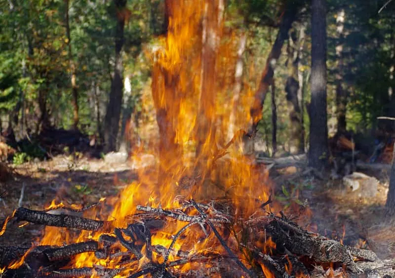 burning_pile_mkauffman_cropped993163