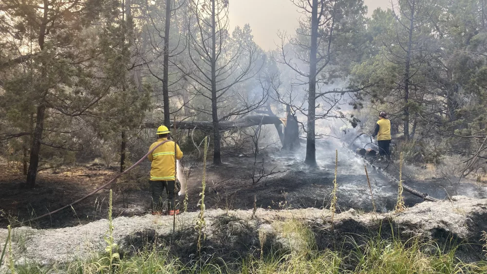bear_creek_fire450066