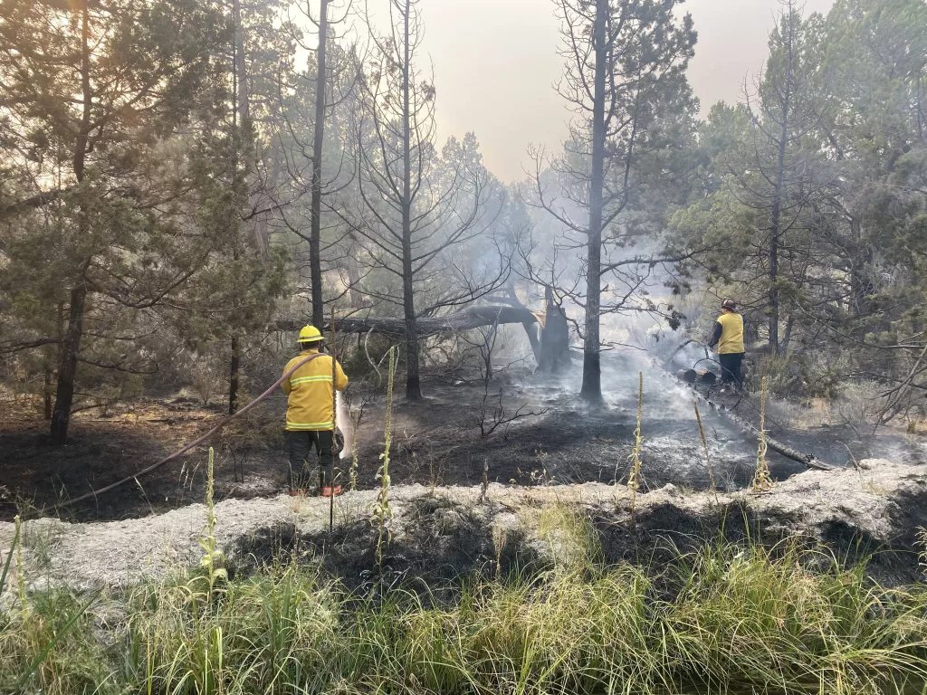 bear_creek_fire450066