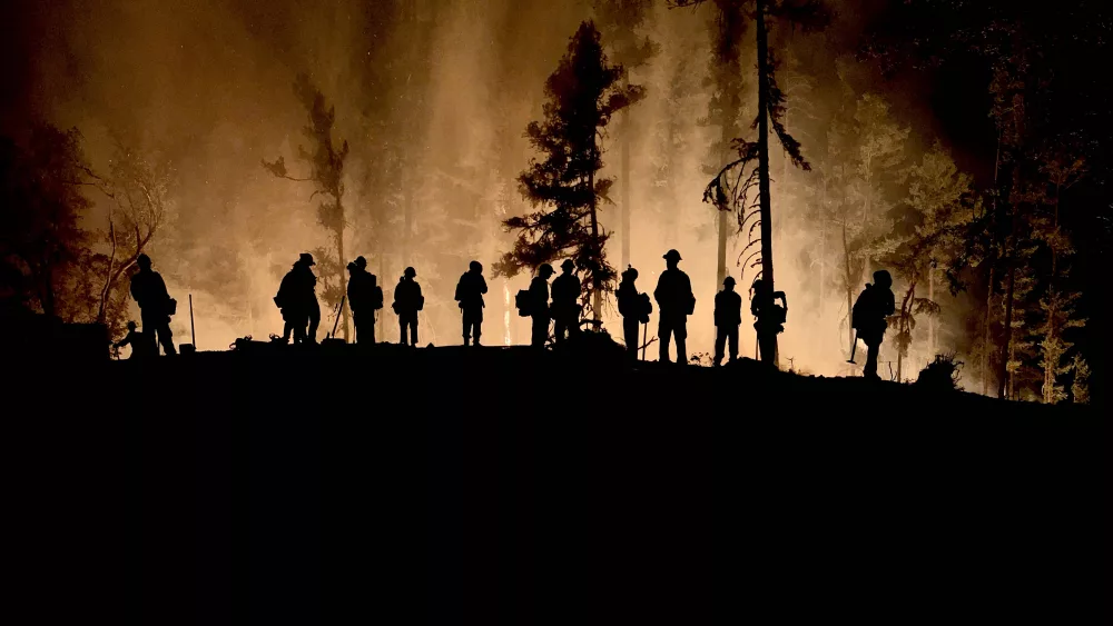 wildfire614730