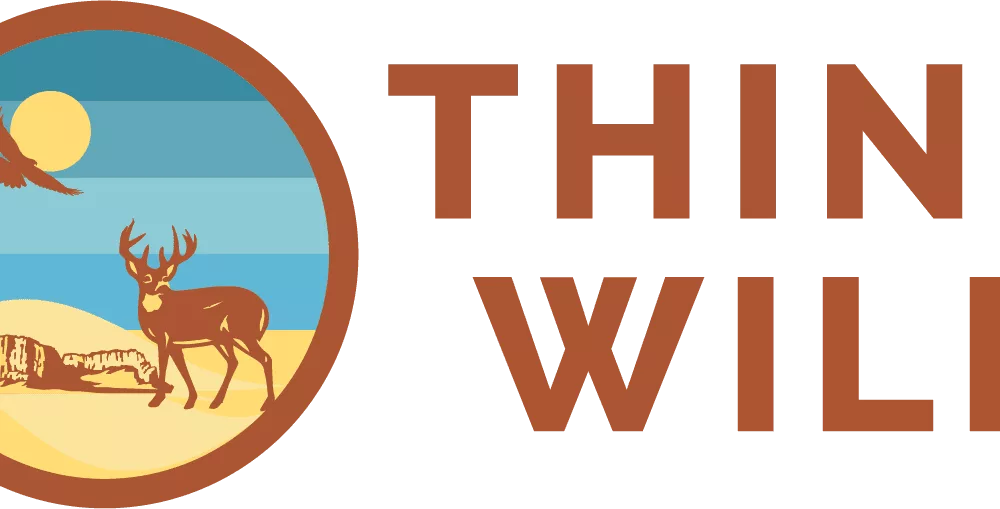 think_wild450627