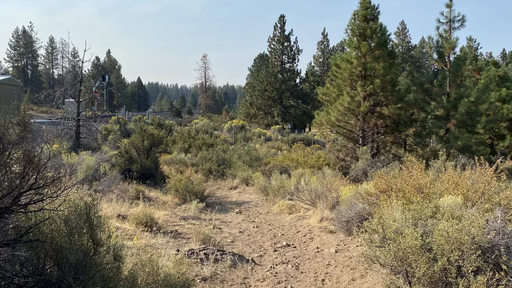 overall_area_to_be_treated102376