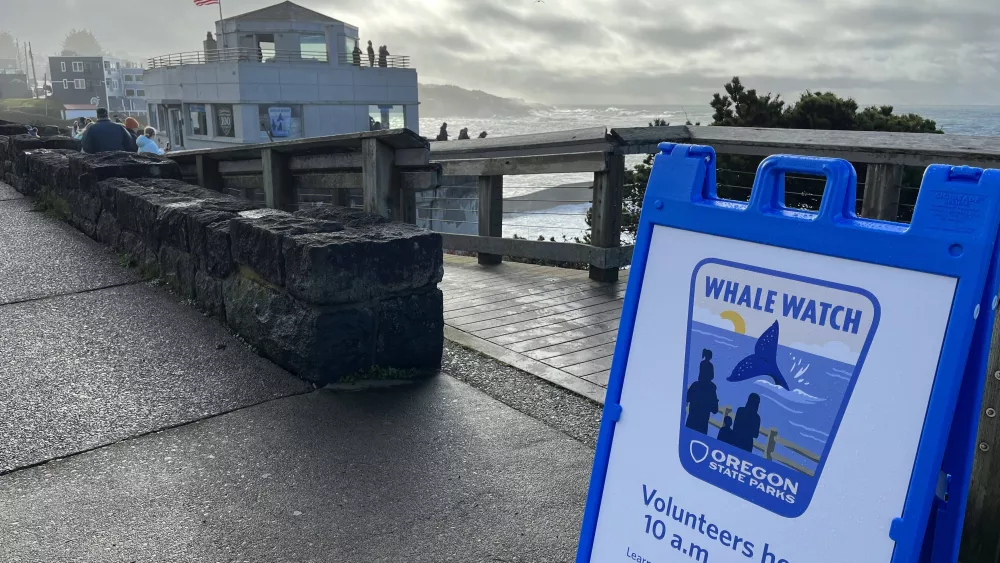 whalewatch638201