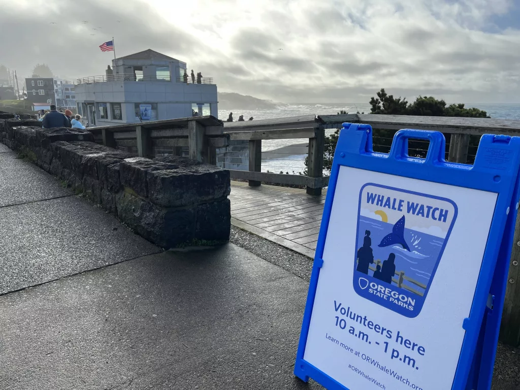 whalewatch638201