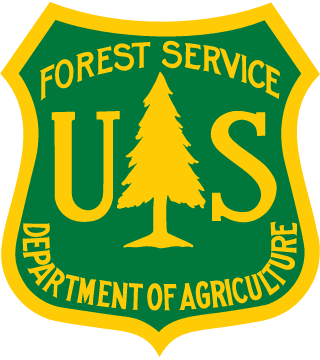 forest958952
