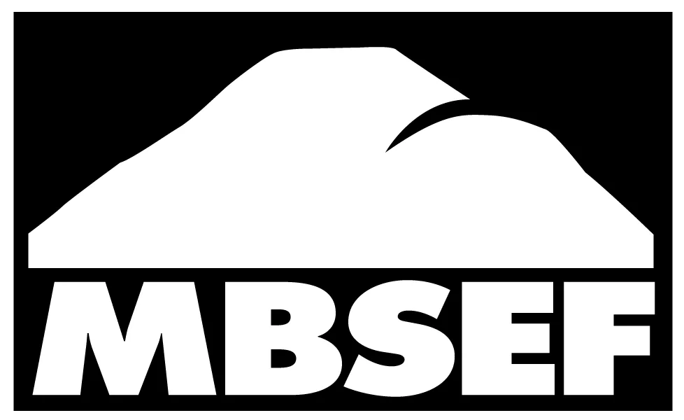 mbsef-logo-black31758