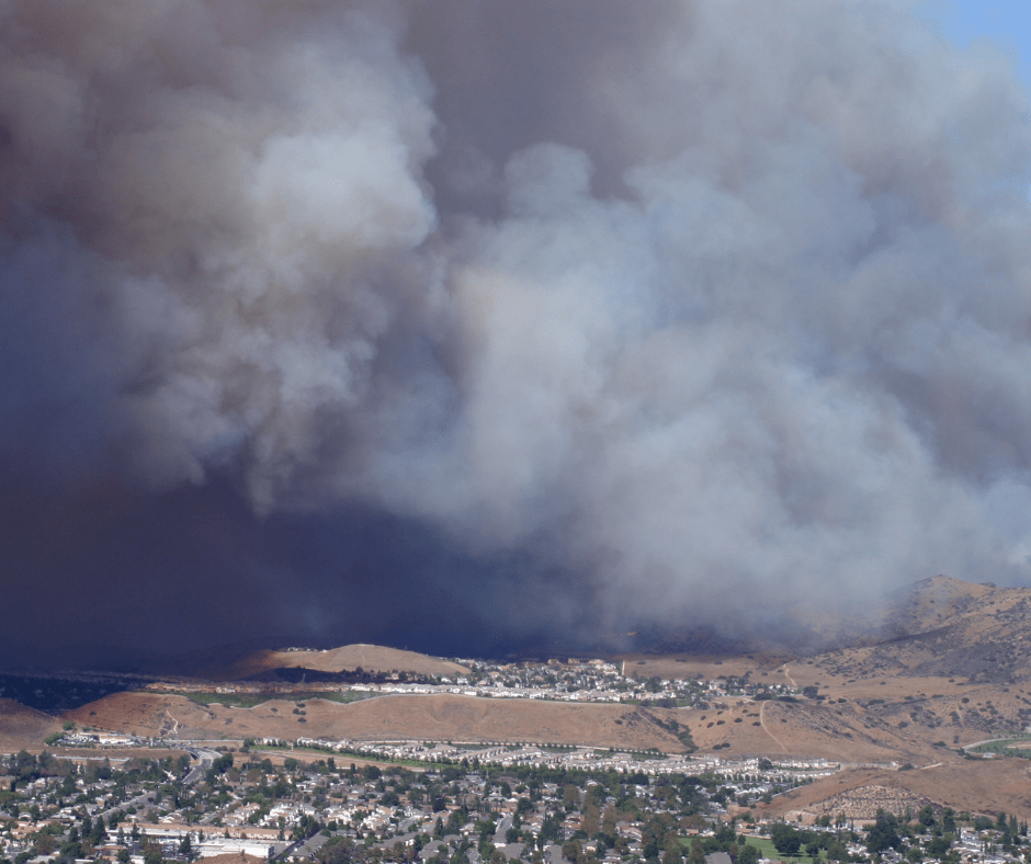 prescribed_burn425383