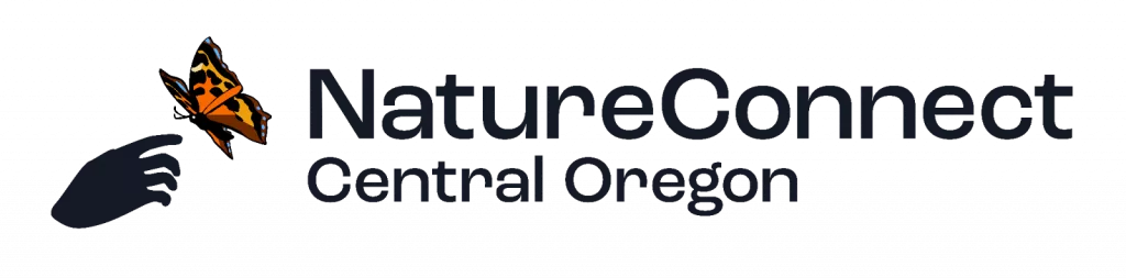 nature_connect539911