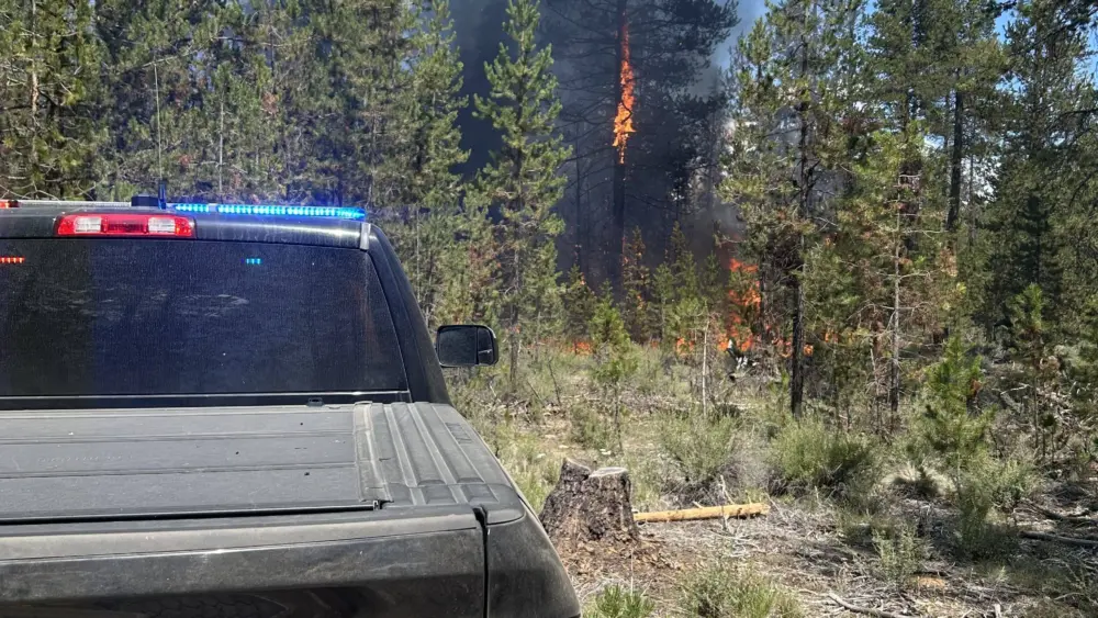 lapine_fire533736