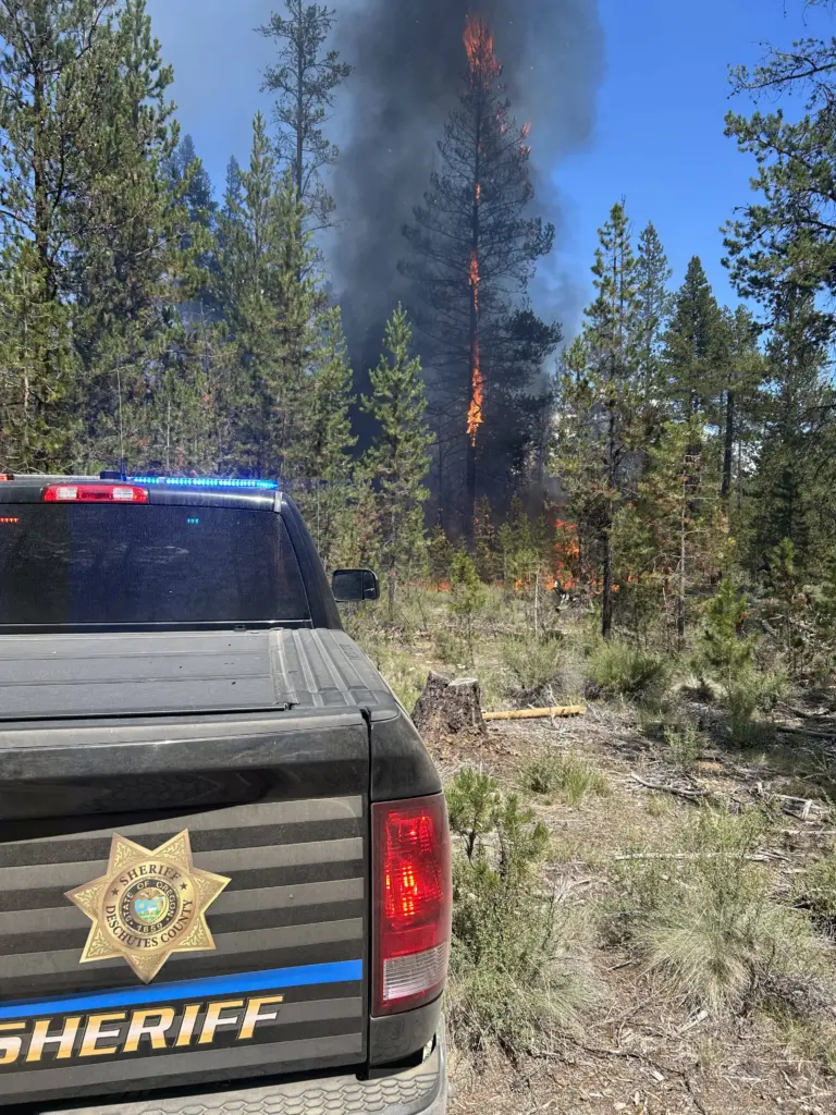 lapine_fire533736