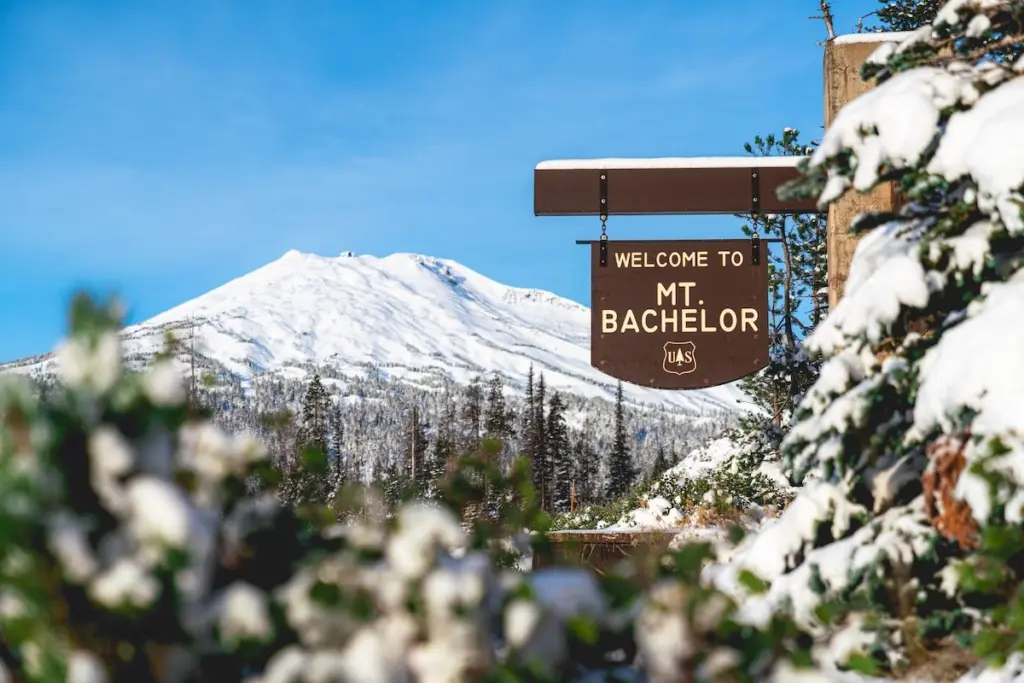 mt-bachelor852781