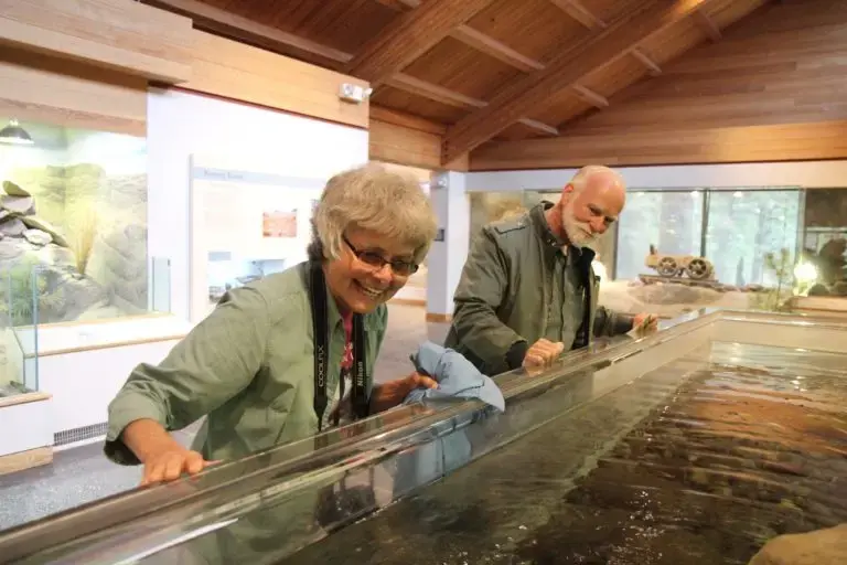 senior-day-may-2019-jpg