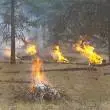 pile-burning5965
